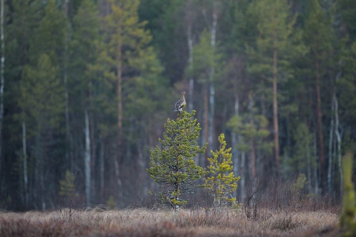 KMK_0415 (2).jpg