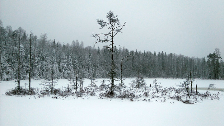 DSC_0111.jpg