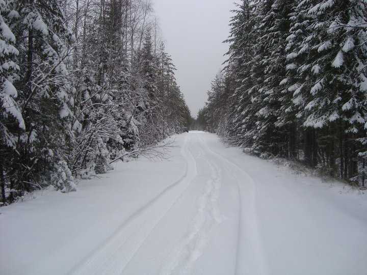 DSC04779.JPG
