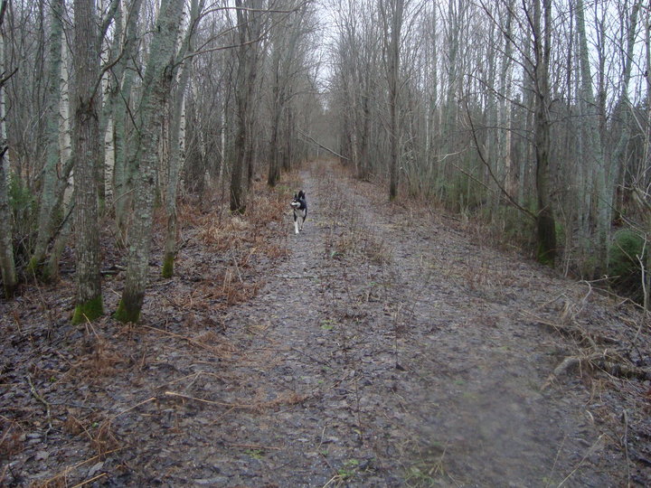 DSC04795.JPG