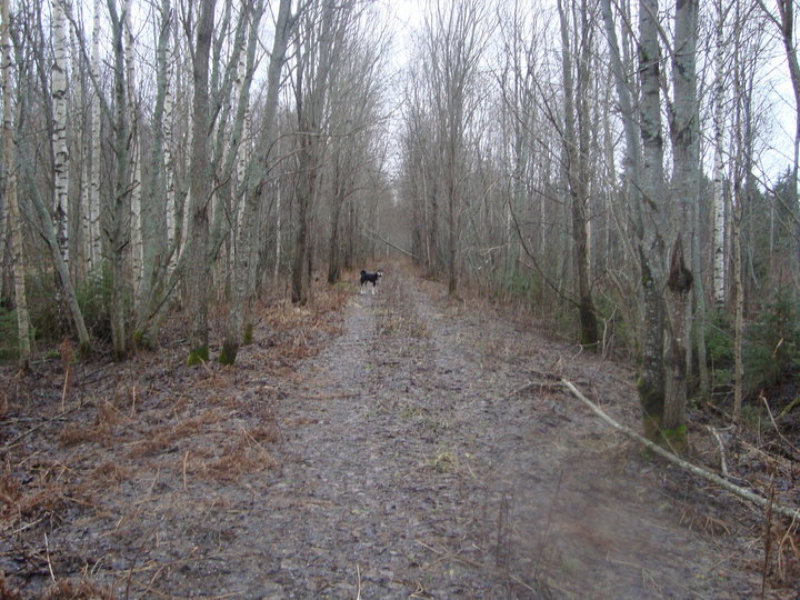 DSC04794.JPG
