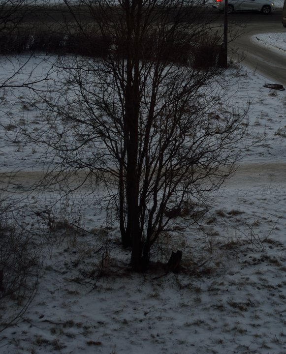 DSC_2979.JPG