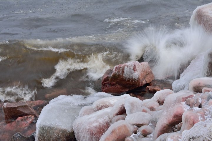 DSC_3079.JPG