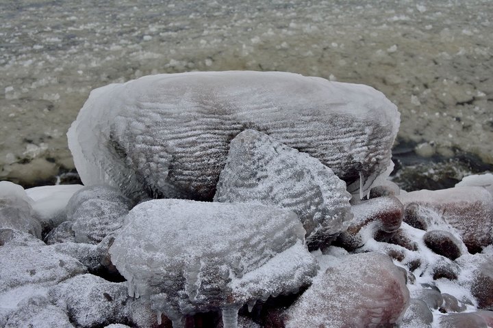 DSC_3084.JPG