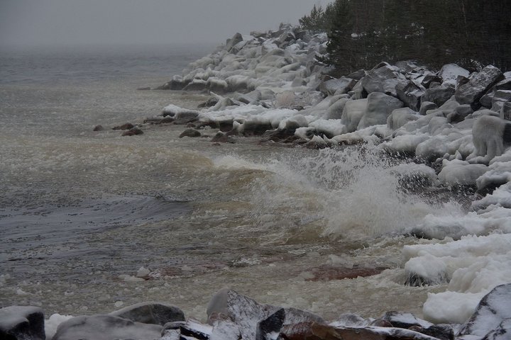 DSC_3116.JPG