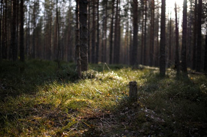 KMK_0034.jpg