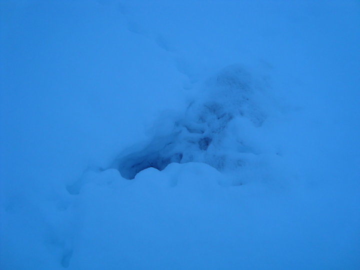 DSC04909.JPG