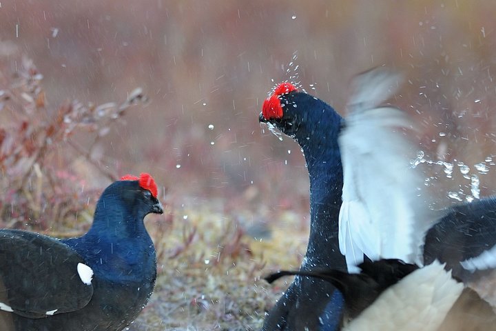 DSC_5799.jpg