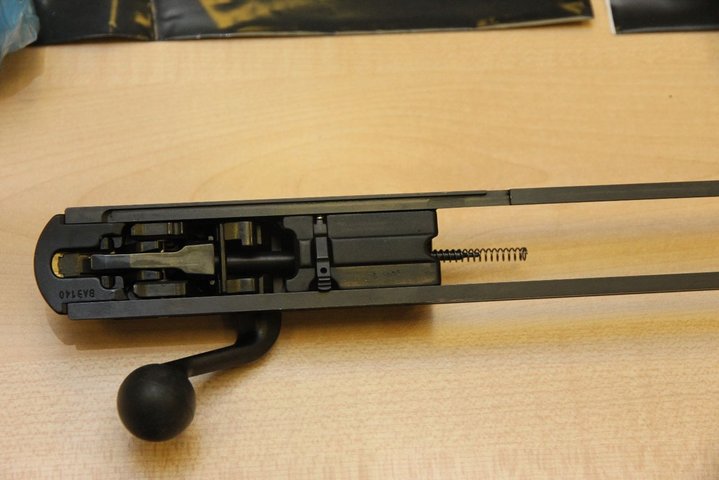 9802731.jpg