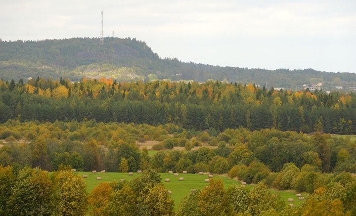 KMK_0483.jpg
