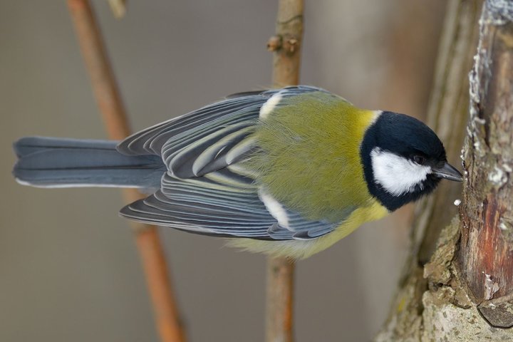 DSC_4538.jpg