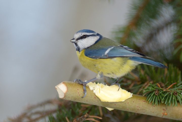 DSC_4513.jpg