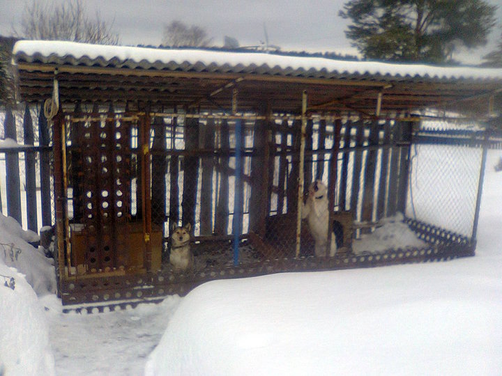 рабочий стол 029.jpg