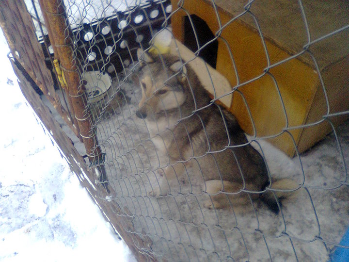 рабочий стол 032.jpg