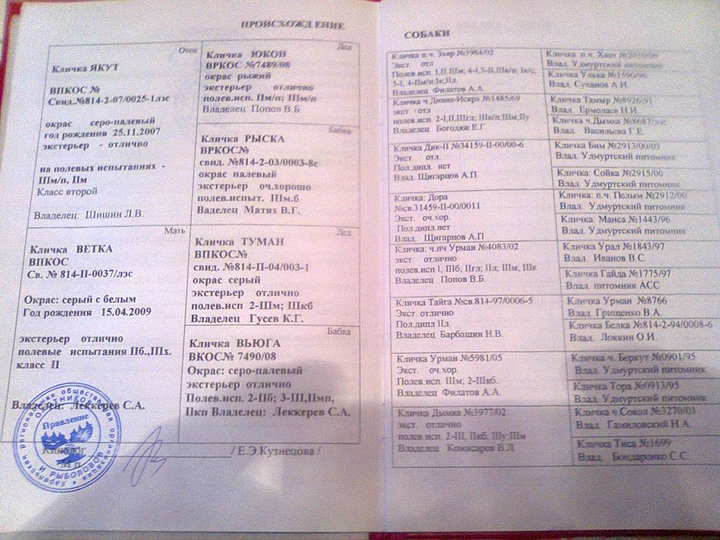 рабочий стол 033.jpg
