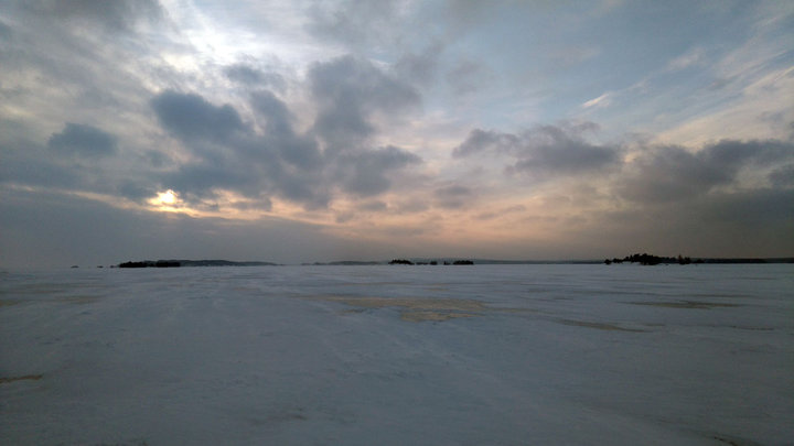 DSC_0313n.jpg