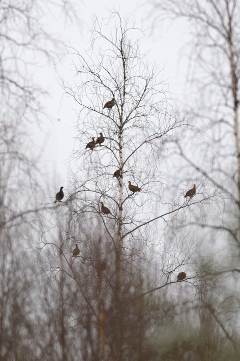 DSC_5030.jpg