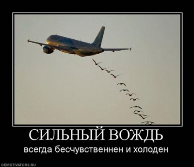 вождь.jpg