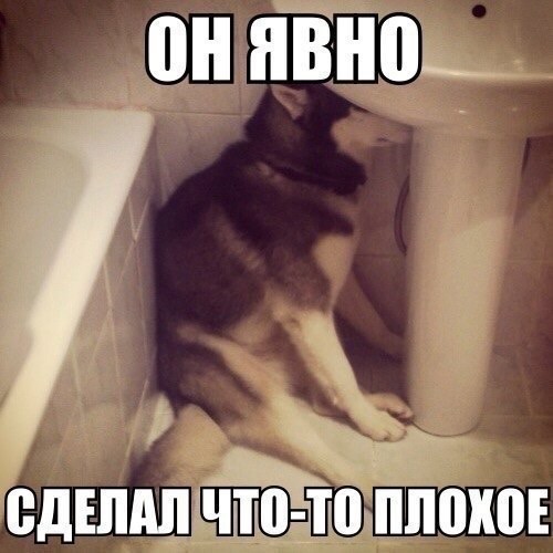 image.jpg