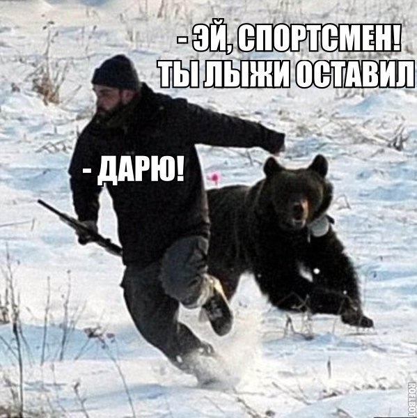image.jpg