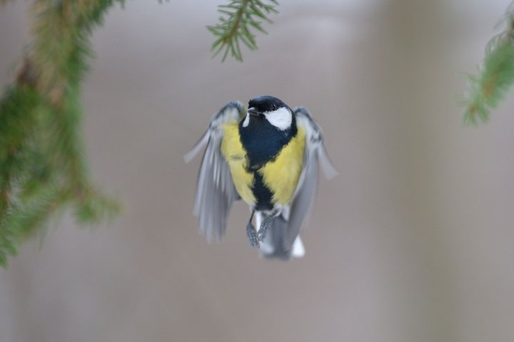 DSC_5134.jpg