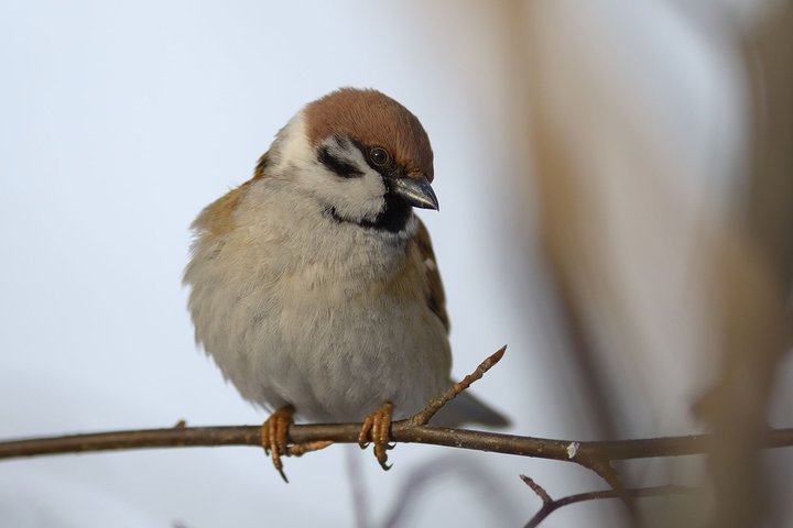 DSC_5482.jpg
