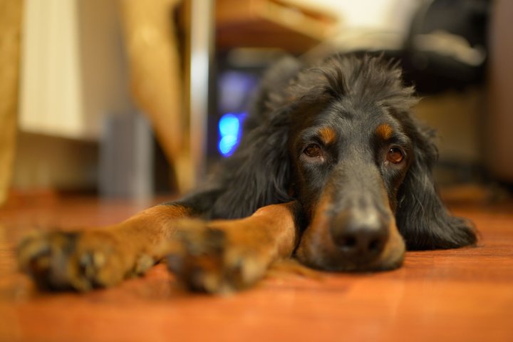 DSC_5527.jpg