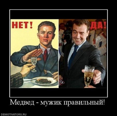 медввед.jpg