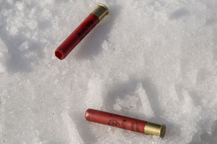 M25A8801.jpg