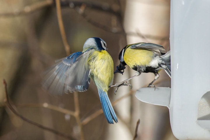 DSC_5173.jpg