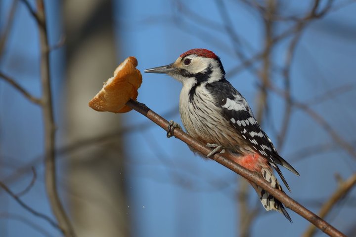 DSC_7313.jpg