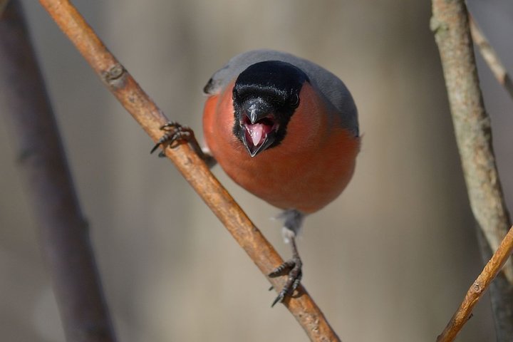 DSC_7256.jpg