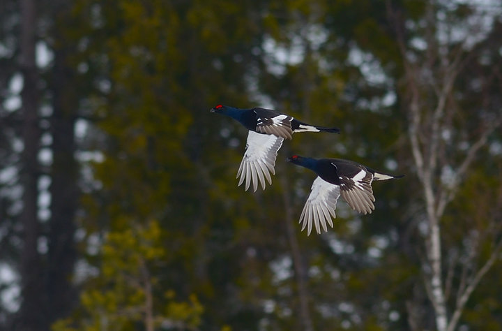DSC_7574.jpg