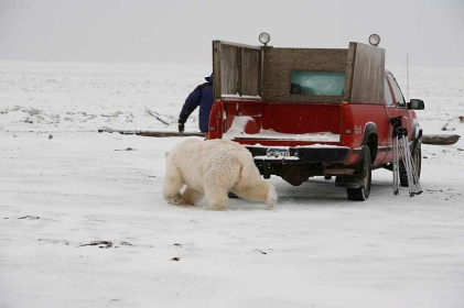 Alberta_2.jpg