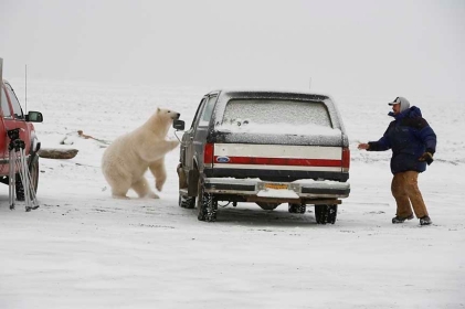 Alberta_3.jpg