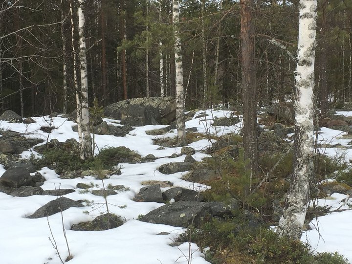 Камни