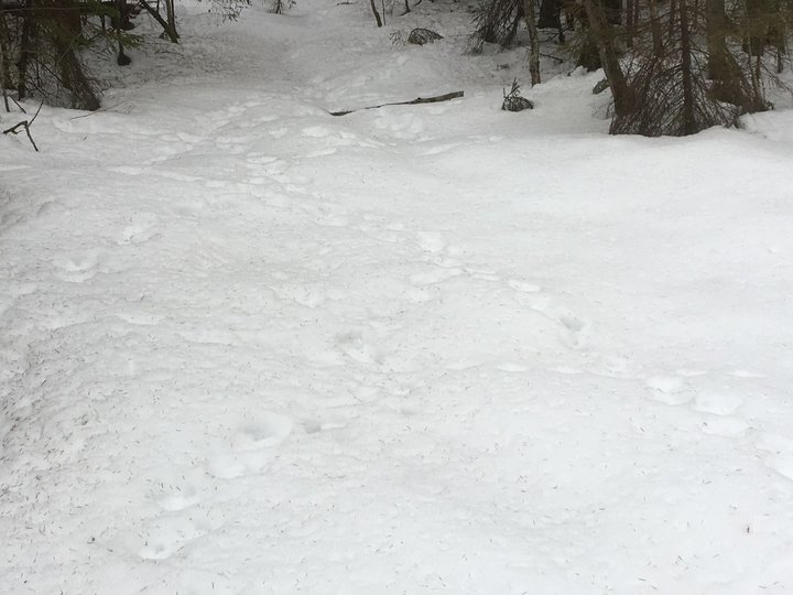 Натоптано