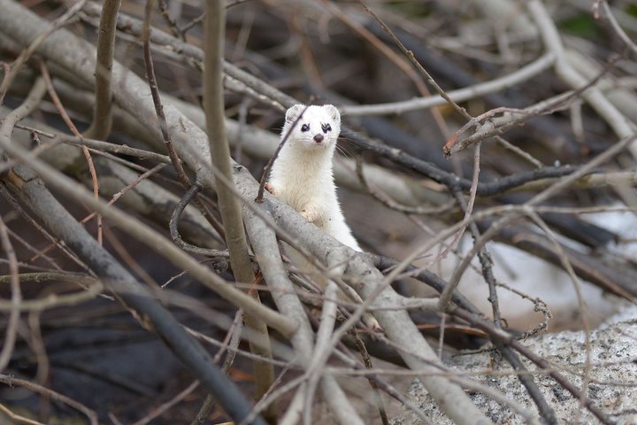 DSC_8376.jpg