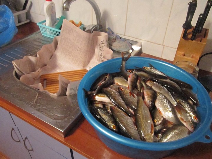 улов.JPG