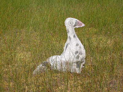 профиль 1.jpg