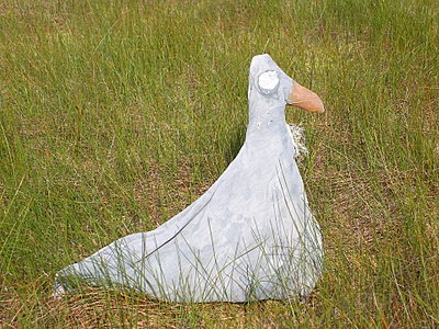 профиль 2.jpg