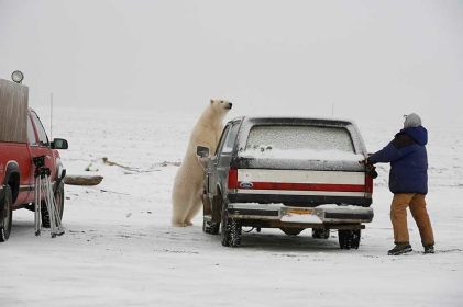 Alberta_4.jpg