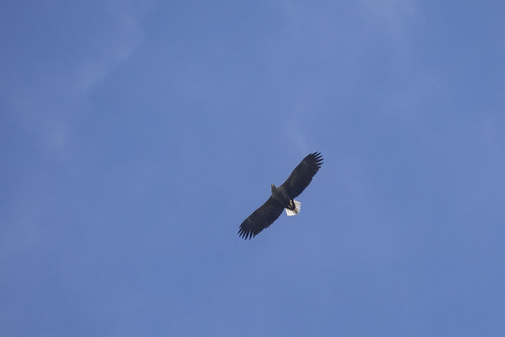 P4170126.jpg