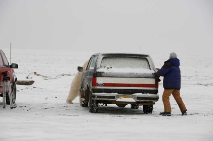 Alberta_5.jpg