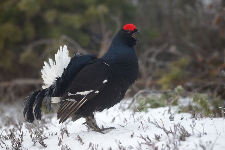 DSC_9045.jpg