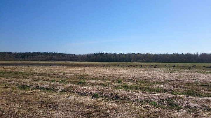 DSC_0025.JPG