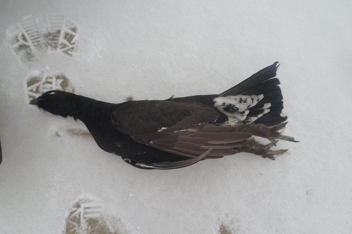 image1122.jpg