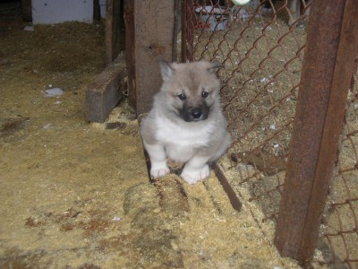 SANY0181.JPG
