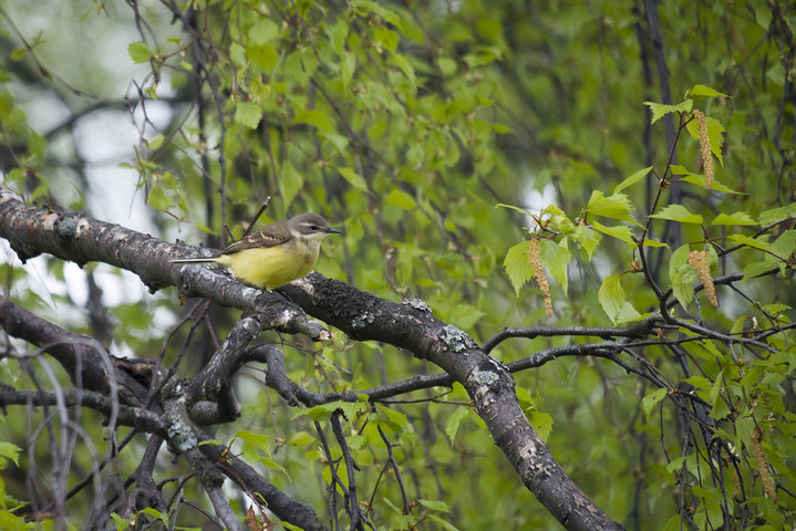 A0001430.jpg
