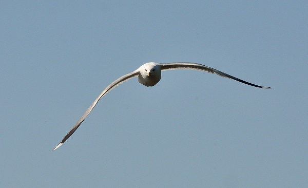 DSC_3456.JPG
